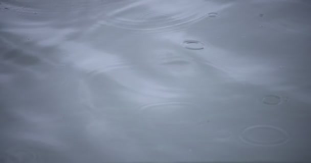 Una cámara lenta de lluvia cae en el agua el primer día lluvioso del estanque — Vídeos de Stock