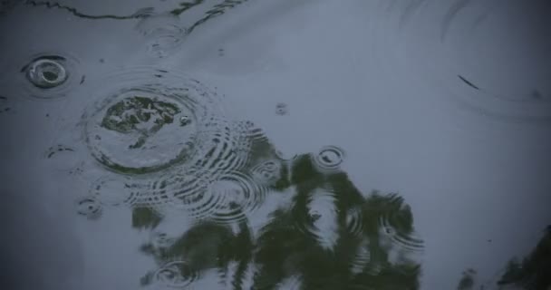 Yağmur damlalarının suya düşüşü. Yağmurlu bir gölet kapanıyor. — Stok video