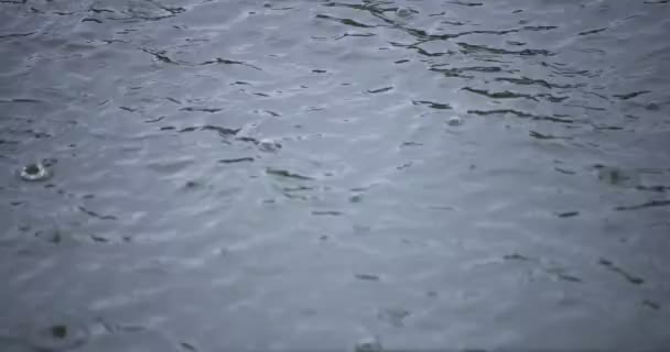 Una cámara lenta de lluvia cae en el agua el primer día lluvioso del estanque — Vídeo de stock