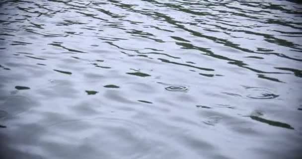 Un lent mouvement de chute de pluie dans l'eau le jour de pluie de l'étang — Video