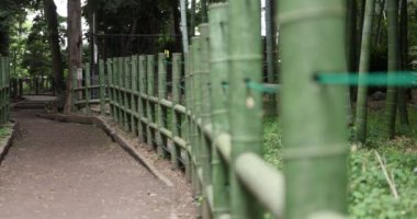 Geleneksel park gündüz odaklanan güzel bambu ormanları