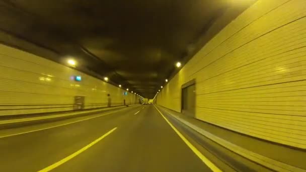 Un punto di riferimento per guidare il paesaggio urbano sulla strada urbana attraverso il tunnel di Tokyo — Video Stock