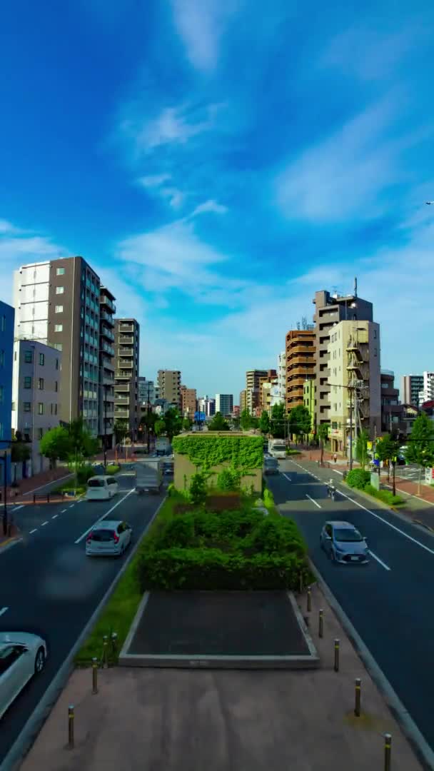 Een tijdspanne van files op de laan in de benedenstad in Tokio verticaal schot — Stockvideo