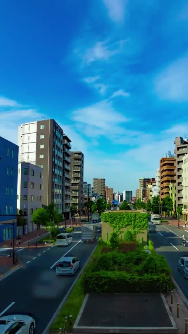 Een tijdspanne van files op de laan in de benedenstad in Tokio verticaal schot kantelen — Stockvideo