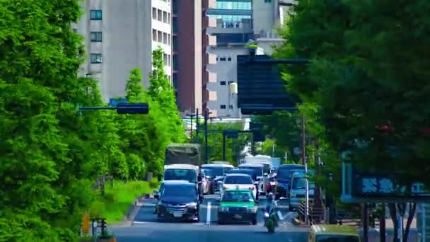 Časový průběh dopravní zácpy na avenue v centru Tokia dálkové přiblížení — Stock video