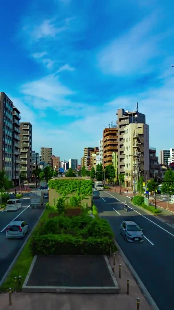 Een tijdspanne van files op de laan in de benedenstad in Tokio verticaal shot zoom — Stockvideo