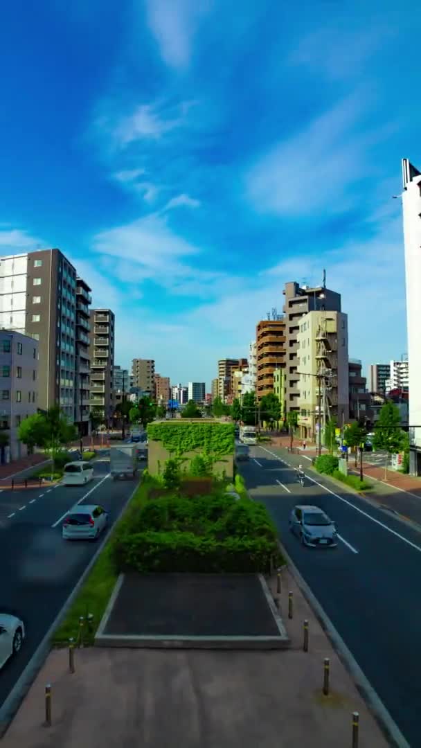 Een tijdspanne van files op de laan in de benedenstad in Tokio verticaal schot panning — Stockvideo