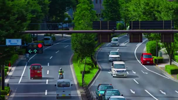 A timelapse of traffic jam at the avenue in the downtown in Tokyo long shot — Stok video