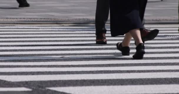 Una cámara lenta de partes del cuerpo de personas que caminan en el cruce en la ciudad de negocios — Vídeo de stock