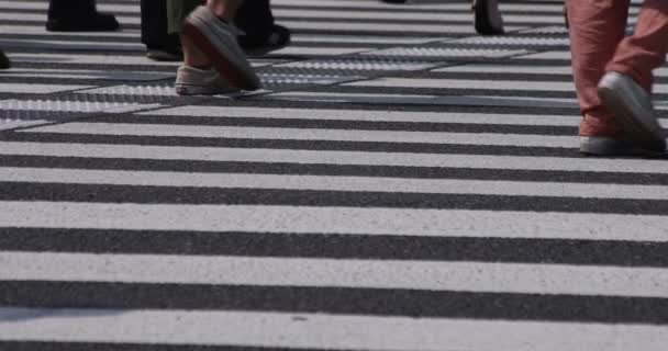 Un lent mouvement des parties du corps des personnes qui marchent sur la traversée de la ville d'affaires — Video