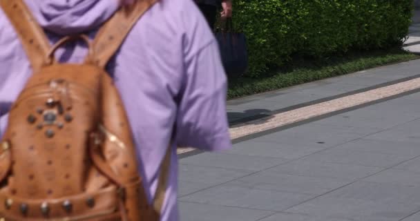 東京都内の都市で歩く人の身体の動きが遅い — ストック動画