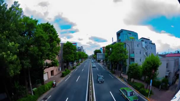 Un timelapse de la calle del centro en la avenida diurna ojo de pez tilt — Vídeos de Stock