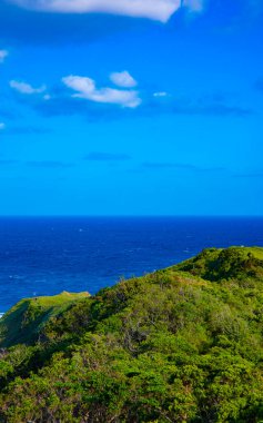 Amami oshima Kagoshima mavi okyanus yakınında Miyakozaki promontory