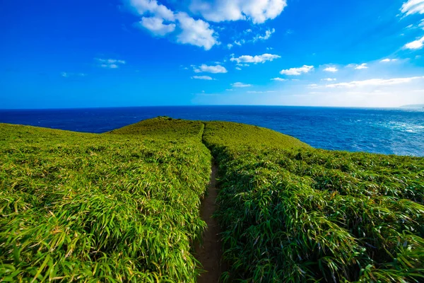 Miyakozaki promontory near the blue ocean in Amami oshima Kagoshima — Stock Photo, Image