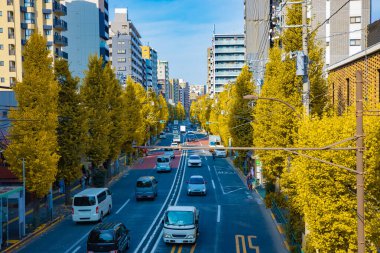 Tokyo 'daki sarı gingko caddesinde trafik sıkışıklığı manzarası. Yüksek kalite fotoğraf. Bunkyo bölgesi Tokyo 11.27.2025 Tokyo şehir merkezi..