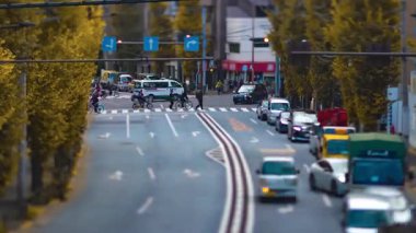 Tokyo 'daki sarı gingko caddesinde trafik sıkışıklığı zamanı. Yüksek kalite 4K görüntü. Bunkyo bölgesi Tokyo 11.27.2025 Tokyo şehir merkezi..