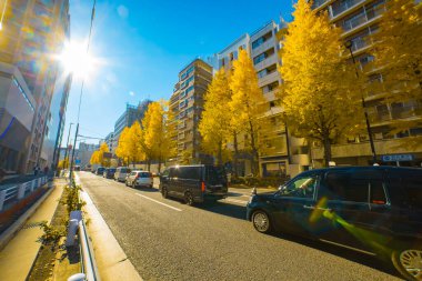Sonbaharda sarı gingko caddesinde trafik sıkışıklığı manzarası. Yüksek kalite fotoğraf. Shibuya Bölgesi Harajuku Tokyo Japonya 12.05.2025 Sonbaharda Tokyo 'nun merkezidir..