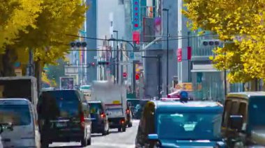 Tokyo Meiji Bulvarı 'ndaki sarı gingko caddesinde trafik sıkışıklığı zamanı. Yüksek kalite 4K görüntü. Shibuya Bölgesi Harajuku Tokyo Japonya 12.05.2025 Sonbaharda Tokyo 'nun merkezidir..