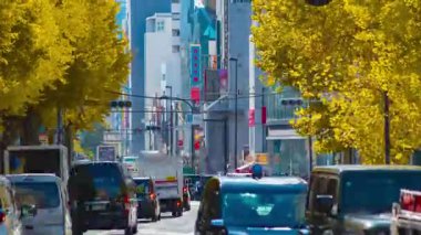 Tokyo Meiji Bulvarı 'ndaki sarı gingko caddesinde trafik sıkışıklığı zamanı. Yüksek kalite 4K görüntü. Shibuya Bölgesi Harajuku Tokyo Japonya 12.05.2025 Sonbaharda Tokyo 'nun merkezidir..