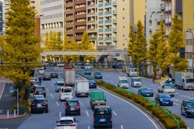 Sonbaharda sarı gingko caddesinde trafik sıkışıklığı manzarası. Yüksek kalite fotoğraf. Minato Bölgesi Minamiazabu Tokyo Japonya 12.05.2025 Sokak Metin Adı.