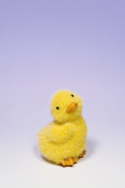 Bebek ördek oyuncak