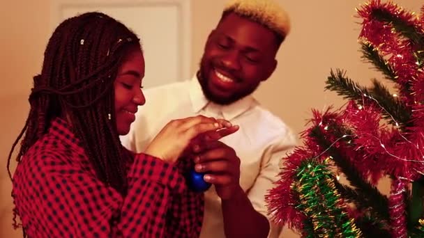 恋爱中的混血儿装饰着房子里的圣诞树 — 图库视频影像