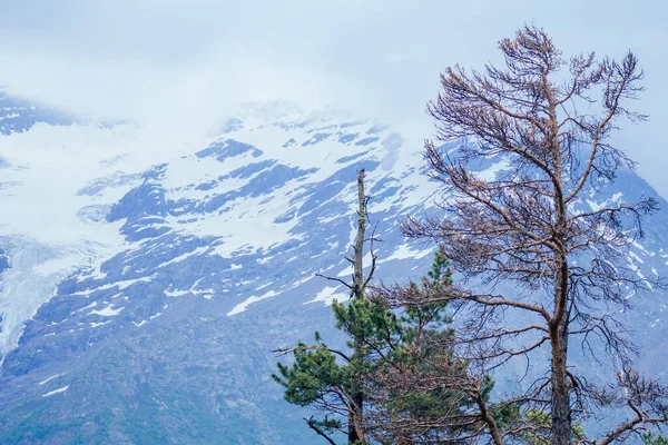 Большая гора Эльбрус в сумме в облачный день — стоковое фото