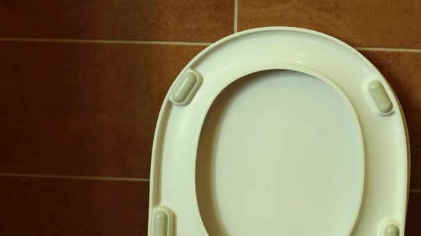 Femeie cu curăță un castron de toaletă folosind mijloace pentru curățarea dezinfectantului — Videoclip de stoc