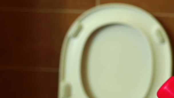 Žena s čistí záchodovou mísu pomocí prostředků pro čištění dezinfekčního prostředku — Stock video