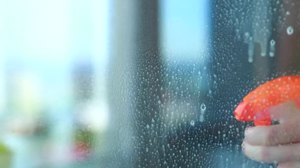 Mujer rociando un líquido especial en forma de espuma antibacteriana sobre la ventana de vidrio — Vídeos de Stock