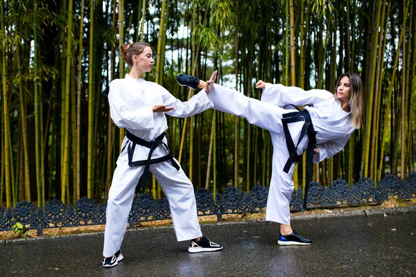 Pessoas chutes altos durante o treinamento de taekwondo ao ar livre fundo de bambu — Fotografia de Stock