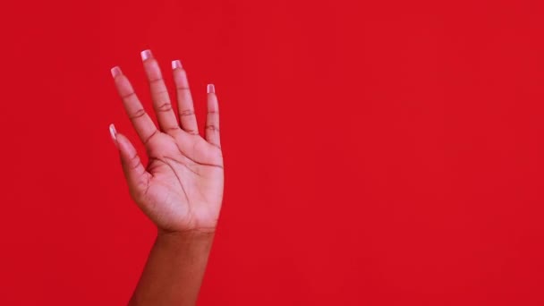 Visar handen hej hi tecken visar allt fin framgång gest kropp languag — Stockvideo