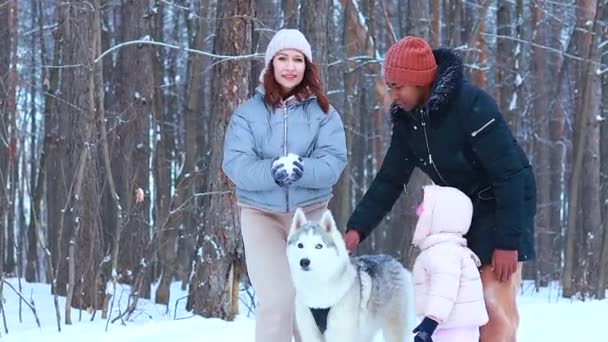 Mischlingsfamilie zu dritt verbringt Neujahrsferien im Park mit ihrem Husky-Hund — Stockvideo