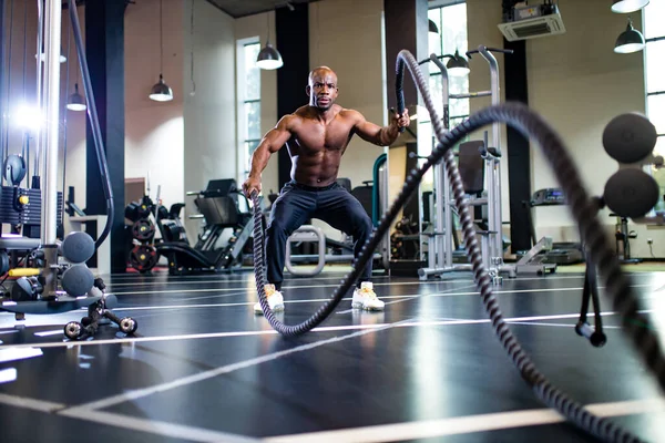 mulatto coach lifting weights over dark background in new gym