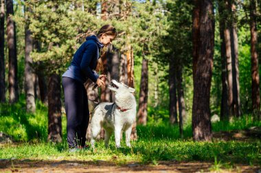 Dışarıda dağlarda yürüyen bir kadınla köpek.