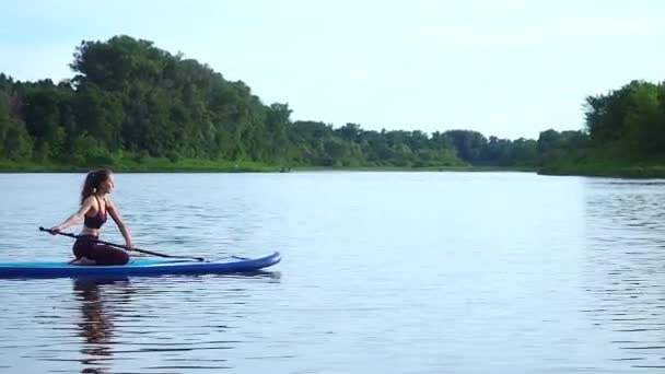 Жінка штовхає і тягне весло крізь сяючу поверхню води і провідну дошку в сонячний ранок — стокове відео