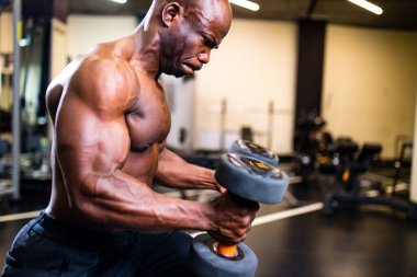 Melez koç yeni spor salonunda arka planda ağırlık kaldırıyor.