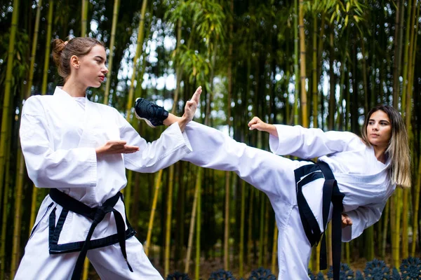 Emberek magas rúgások edzés közben taekwondo szabadban bambusz háttér — Stock Fotó