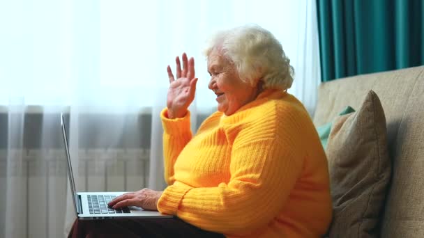 Ritratto di vecchia signora sorridente che guarda il computer portatile e parla con la famiglia tramite videochiamata online — Video Stock