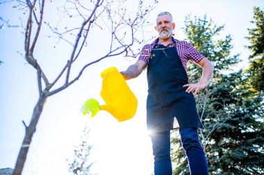 Gri sakallı ve saçı olan yaşlı beyaz bir adam güneşli bir günde bahçesindeki ağaç ağacını suluyor.