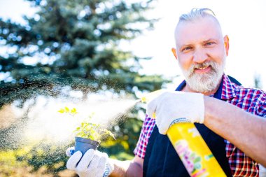 Baharda bahçede beyaz saçlı ve sakallı adam