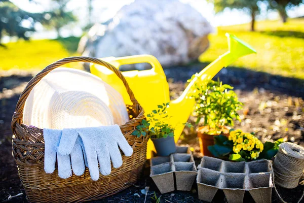 Peralatan berkebun di luar ruangan memulai musim tanam bibit — Stok Foto