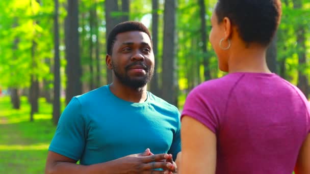 Pareja afroamericana hablando juntos en el parque de verano — Vídeo de stock