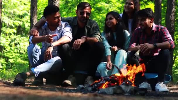 Mulhellenistiske pakistanske lykkelige venner på piknik campingplass . – stockvideo