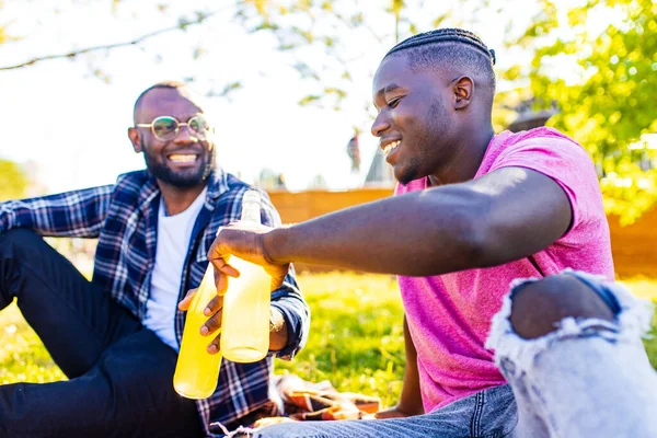 African american brothers spending summer holiday in sunny park — Stock Photo, Image