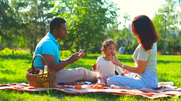 해 가 지는 여름 공원에서 가족 이 함께 보내는 행복 한 시간 — 비디오