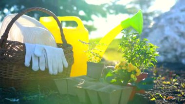 Bahçıvanlık aletleri tohum ekme mevsimini başlatır. Güneş ışığını sularlar.