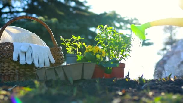 Trädgårdsredskap utomhus startar en sådd säsong sådd tid vattna ett frön sol ljus — Stockvideo