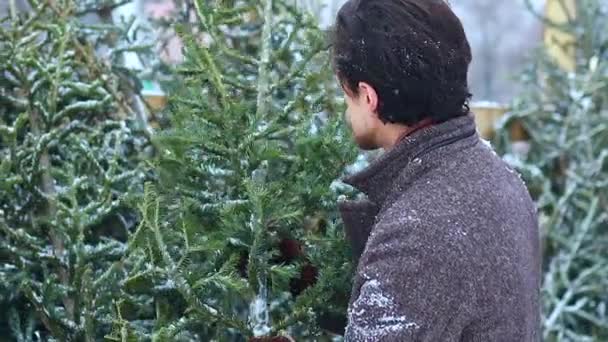 Hombre italiano compra árbol de Navidad en Navidad año nuevo en la tienda al aire libre — Vídeos de Stock