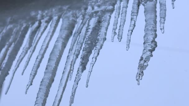 Icicles pendurados em um inverno telhado dia russo — Vídeo de Stock